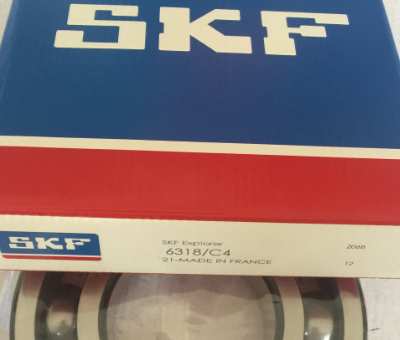 SKF 6318