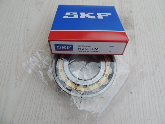 SKF N 313 ECM