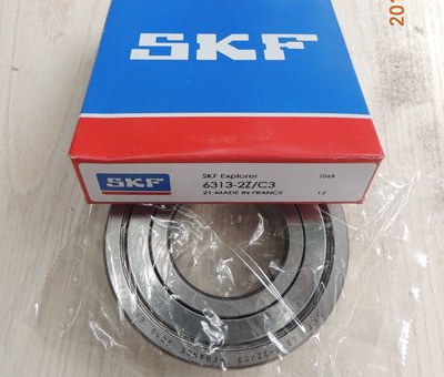 SKF 6313-Z