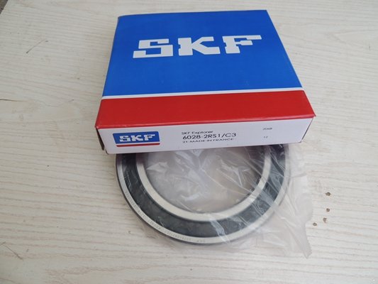 SKF 6028-2RS1